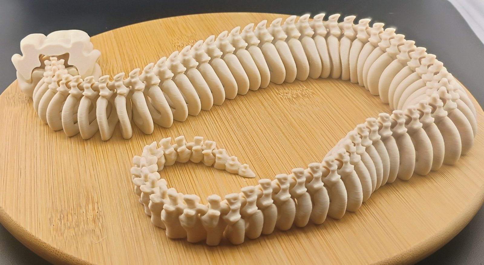 FossilFang Bone Snake - Image 5