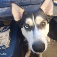 C360_20230108-195812-28