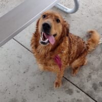 IMG_20240404_162950753