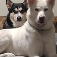 IMG_20250122_135254987