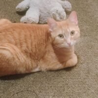 IMG_20251103_082124776_AE